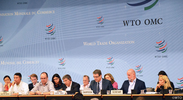WTO Trade Negotiations Committee